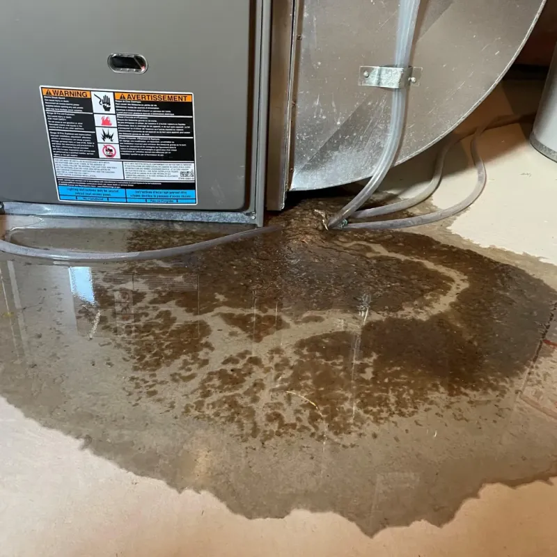 Appliance Leak Cleanup in Murraysville, NC