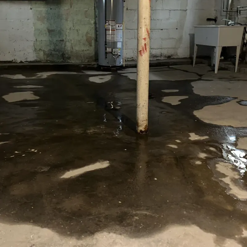 Emergency Water Extraction And Removal in Murraysville, NC